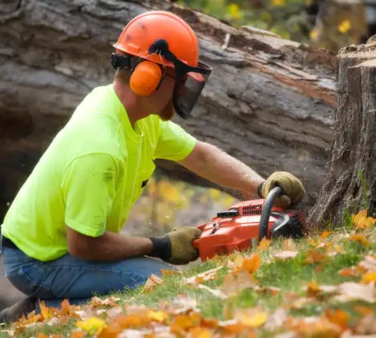 tree services Santa Fe